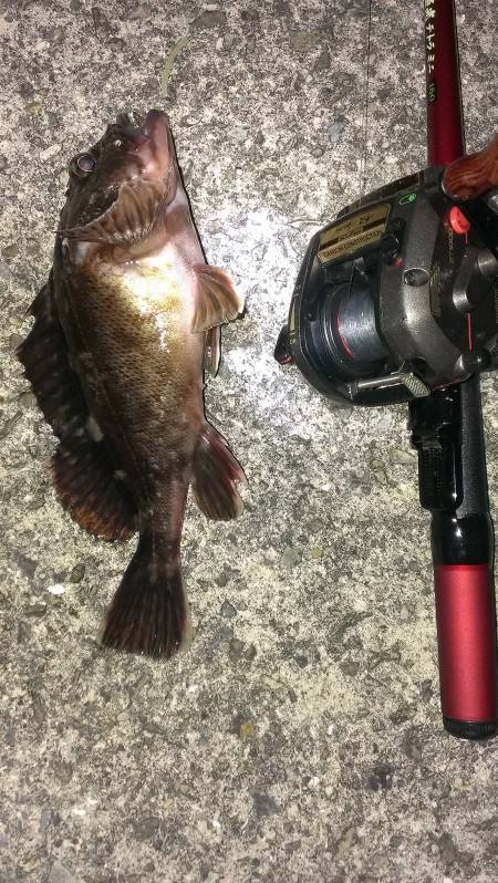 残りもので釣行