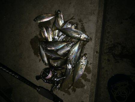 これは言えない