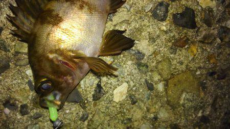 何とかホゲ回避