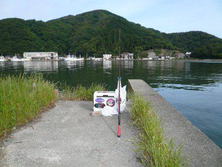 今シーズン初の津居山釣行