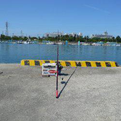 近場の東二見港へ釣行