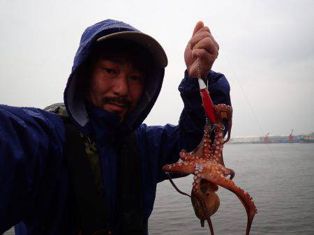 五目タコエギＤＥタコ♪