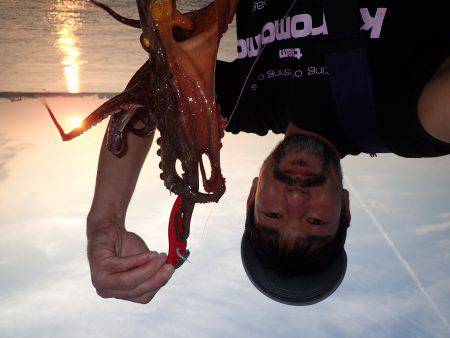 五目タコエギＤＥタコ♪