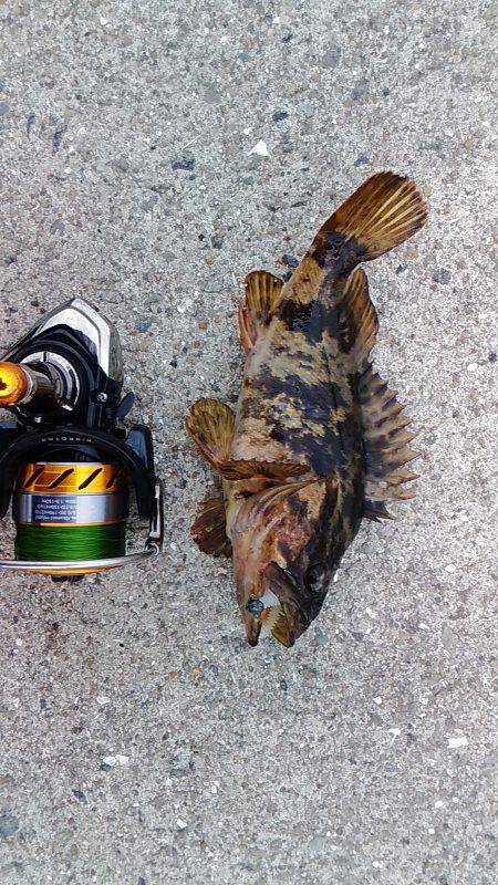 180円のワームで……