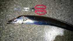 初の沖堤 小浦一文字