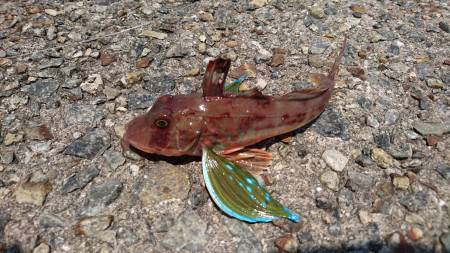 諦めかけたその時