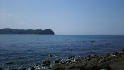 ロックフィッシュ