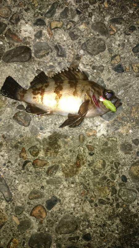 少しのジアイ。