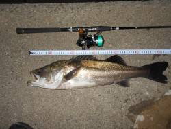 1時間で3ヒット♪