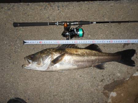 1時間で3ヒット♪