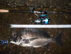 メタルバイブのテクトロでチヌがヒット♪