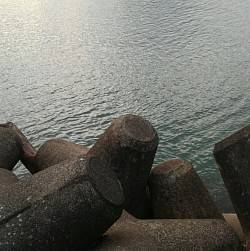 後輩のチヌ釣りデビュー戦！