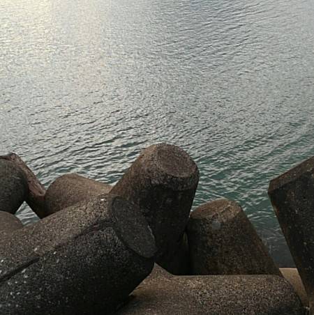 後輩のチヌ釣りデビュー戦！