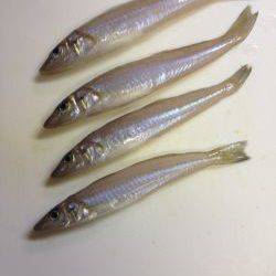 キスリベンジならず…