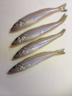 キスリベンジならず…