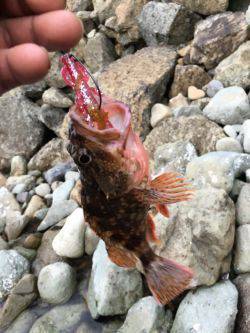 イマイチでした。