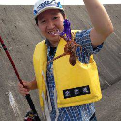 タコ釣り開幕！だが…