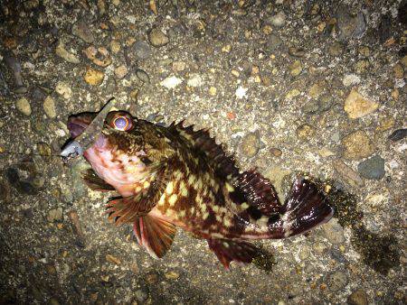 仕事帰りにランガン釣行