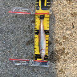 去年の今頃はもっと！