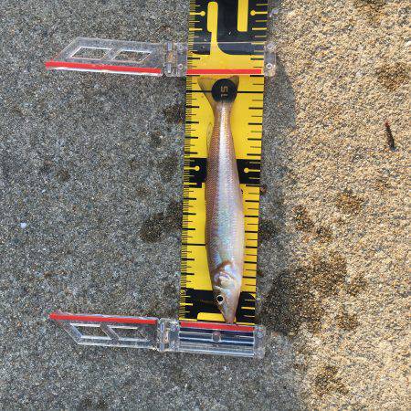 去年の今頃はもっと！