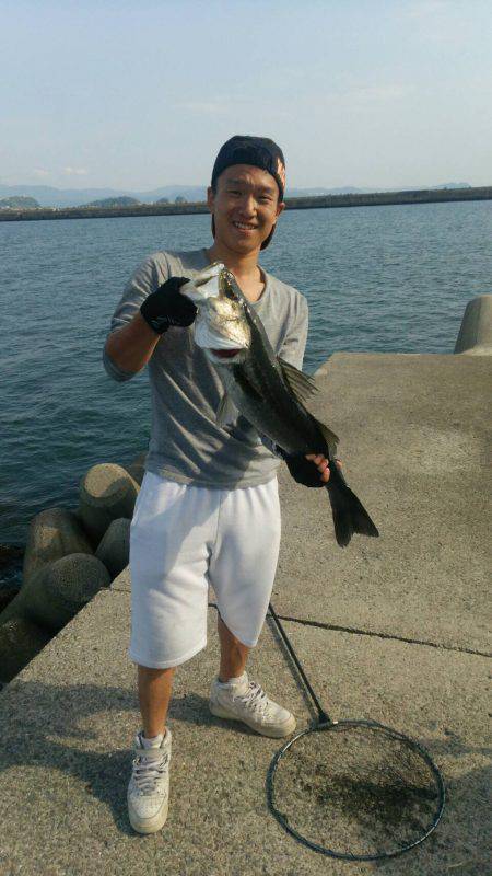 ライトゲームでのシーバス