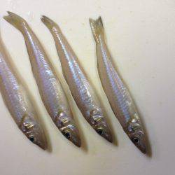 キスリベンジならず…