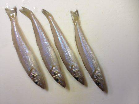 キスリベンジならず…