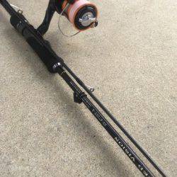 食べる分だけ〜