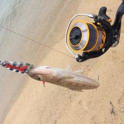 ２時間だけ、、、