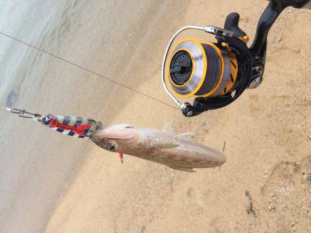 ２時間だけ、、、