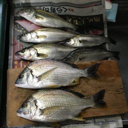 朝からエビ撒き