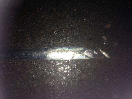 梅雨タチおった