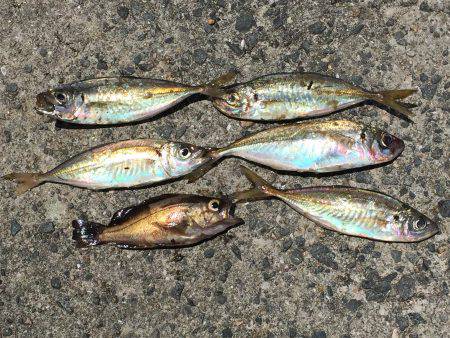 寝坊したぁーー