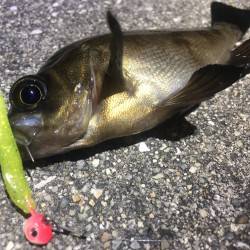 雨が降る前に。