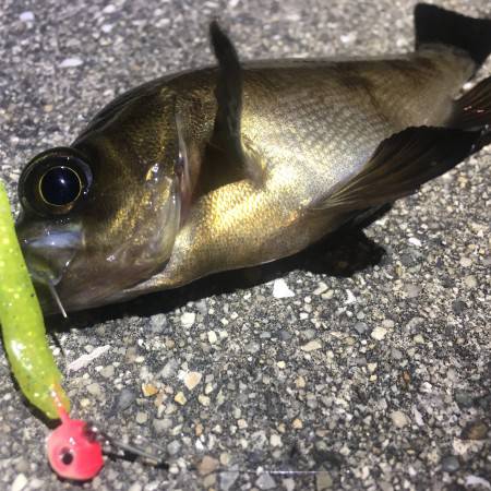 雨が降る前に。