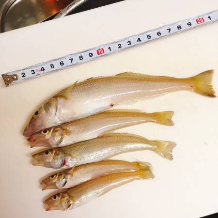 キス絶好調！！