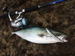 あまり情報なく不安でしたが