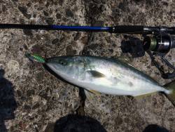 昼間のボイル祭り