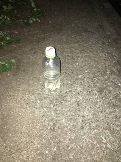 まだはやいのか！？