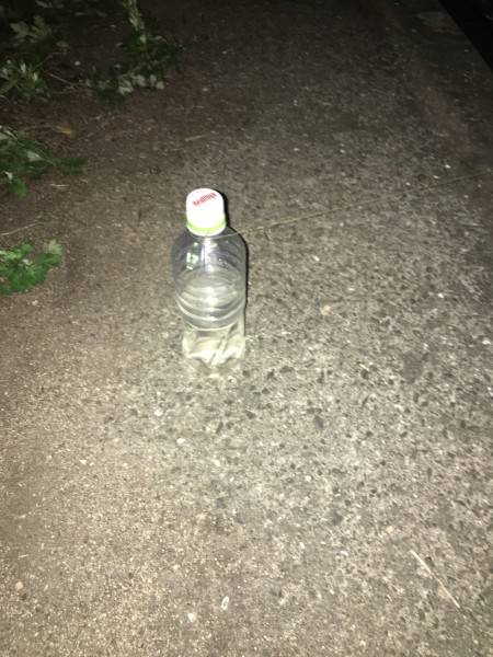 まだはやいのか！？