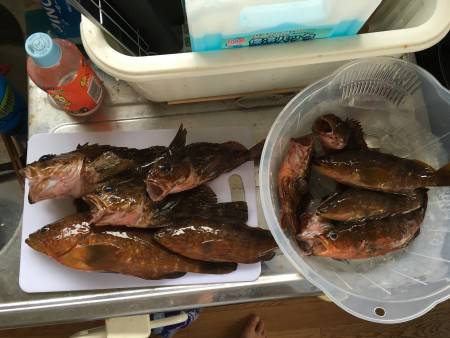 ロックフィッシュ