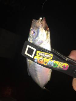 滝修行（≧∇≦）