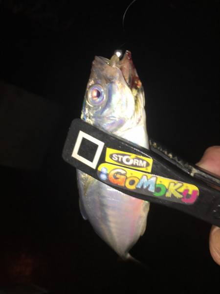 滝修行（≧∇≦）