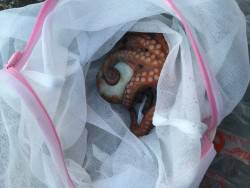 仕事帰りの釣行で