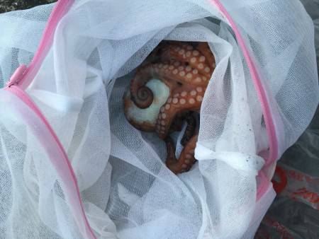 仕事帰りの釣行で