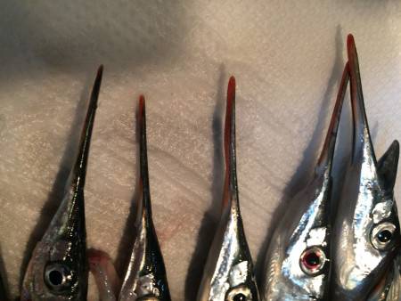 頑張った、、、