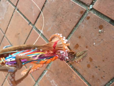 タコより人が多い