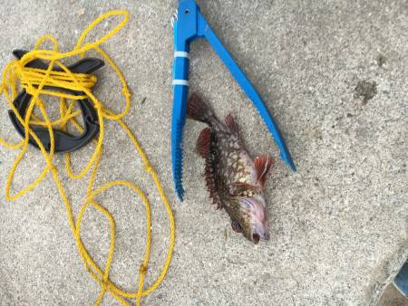 ライトワインド