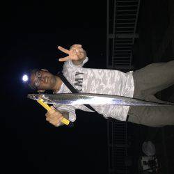 タチウオなんとか1匹