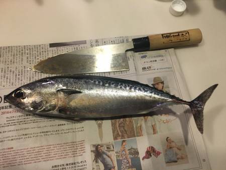 ジグで久しぶりに♪